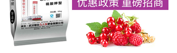 ͏(f)Ϸ25-14-6-(yng)_05