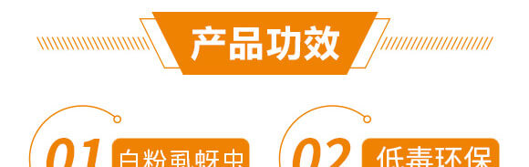 5%x(chng)+20%߻x(chng)--֮_06