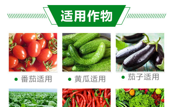 一棵一粒-沃源生物_07