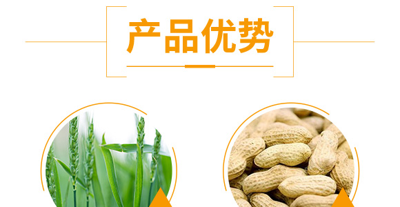 ٻᘷ辄-ؔ(ci)-G_05