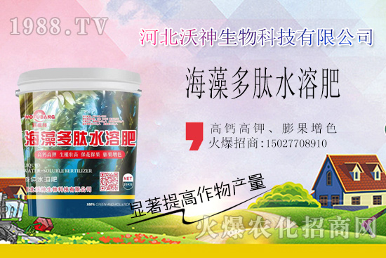 作物長勢好不好,根系管理很重要!“海藻多肽水溶肥”開啟作物生根時(shí)代!