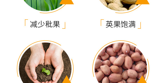 ٻᘷ辄-ؔ(ci)-G_06