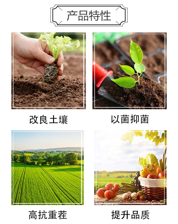 ͺϷ-r(nng)ʘI(y)_03