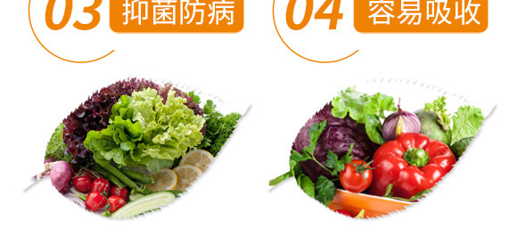 底肥金動(dòng)力-中植聯(lián)合_07