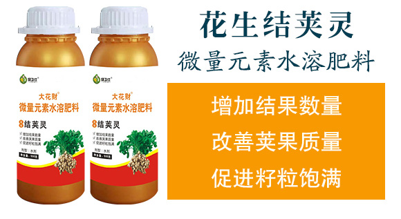 ٻᘷ辄-ؔ(ci)-G_04