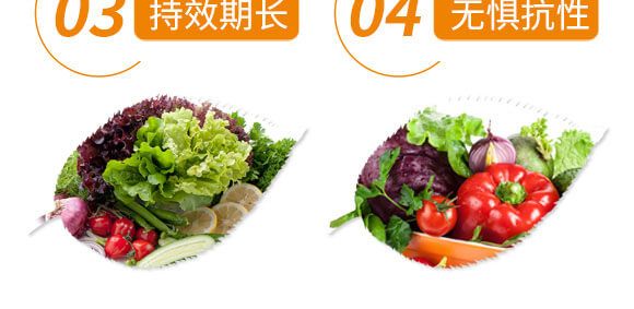 5%x(chng)+20%߻x(chng)--֮_08