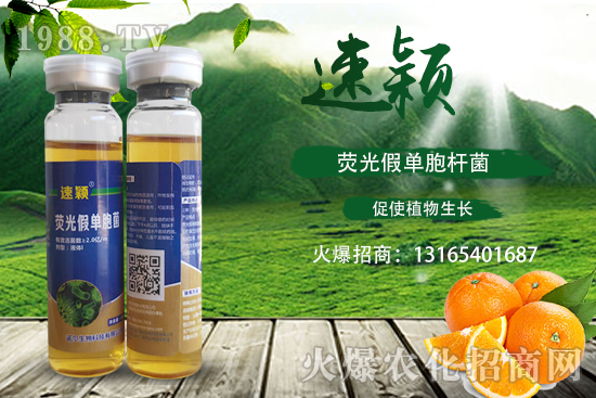 ٝΣһһ(yn)ٝη