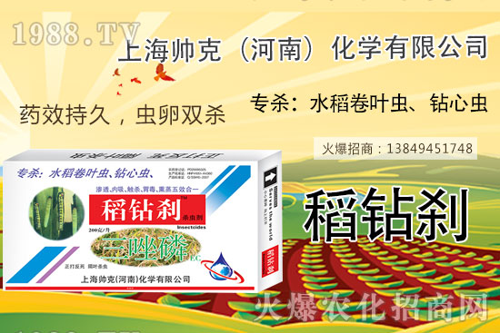 水稻鉆心蟲不好打?那是你沒用它!水稻鉆心蟲選對(duì)藥,防治不用愁!