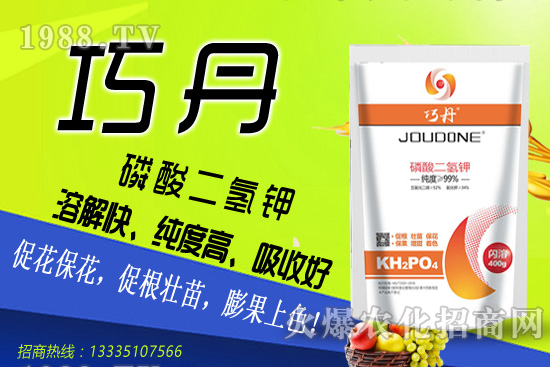 茄子需肥特性有哪些,夏季茄子高產管理技巧!