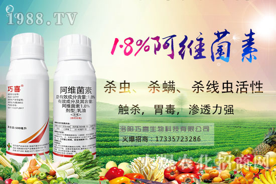 [ĿxΣ@ôԓô[Ŀxˎ]