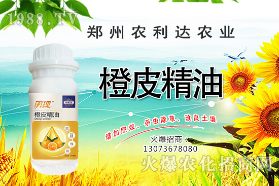 橙皮精油您了解多少?橙皮精油有什么作用?怎么選橙皮精油?