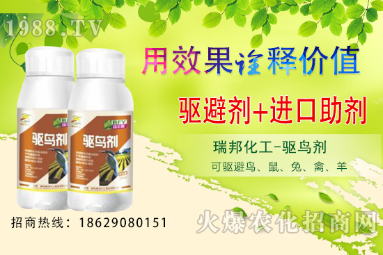 夏季果園鳥類猖獗,以下方法超乎你想象!果園驅(qū)鳥攻略!