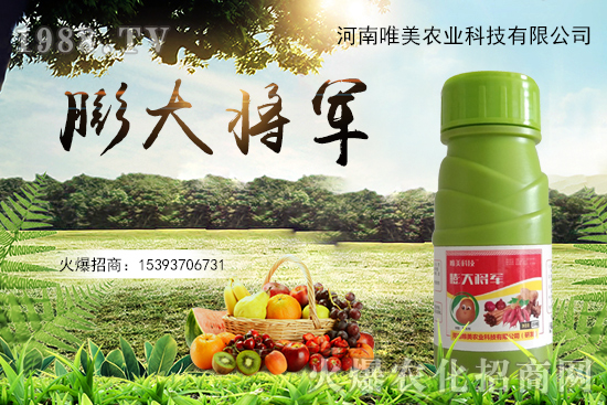 果實膨果慢、果實小怎么解決?果實膨果肥的選擇有哪些?