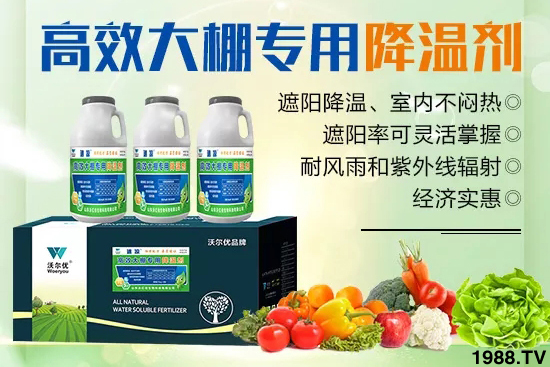 ߜ،SʲôΣSϽشʩô