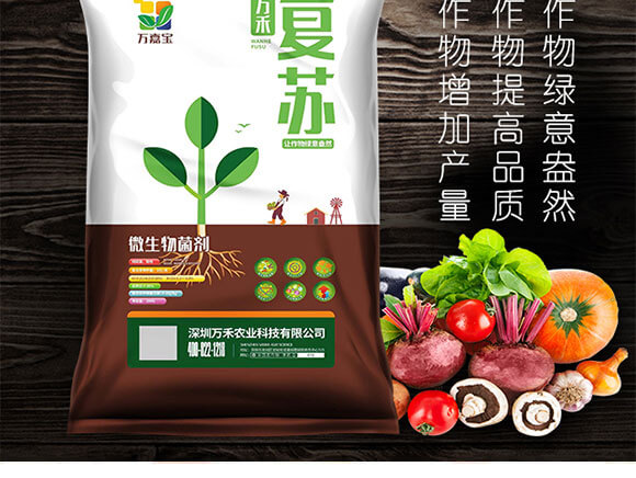 ΢-f̏K-fΌ-fr(nng)_02