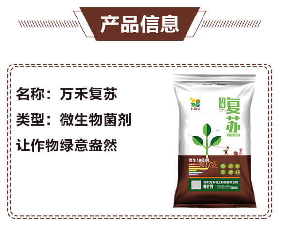 ΢-f̏K-fΌ-fr(nng)_03