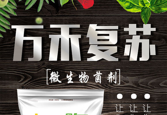 ΢-f̏K-fΌ-fr(nng)_01