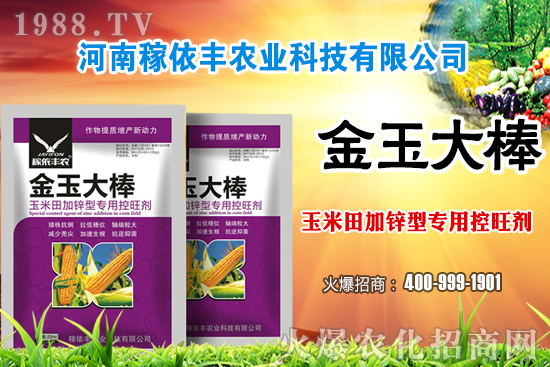 ʩغ͏(f)ϷĂʩע(xing)Щ