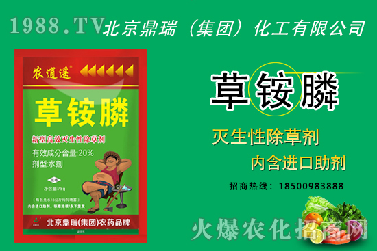 @ݸ좮}ݸ@}ʲôͬc(din)