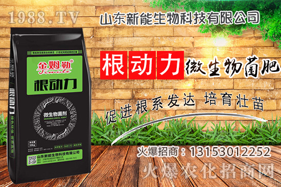 ʲôʹá΢ʡʲô(yu)(sh)