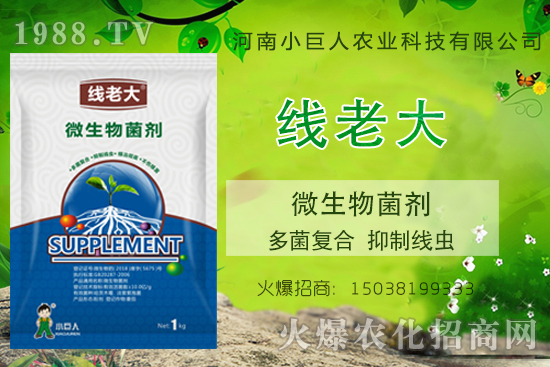 Y(ji)xզY(ji)x-ϴ󡱶(f)ƾx