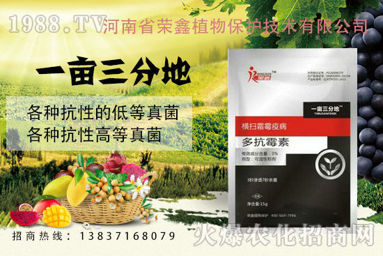 白粉、繡病、霜霉病害真難打?防治藥劑有哪些?殺菌產(chǎn)品匯總!