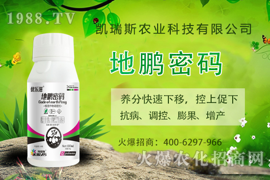 P˹rI(y)ôP˹rI(y)aƷЩ