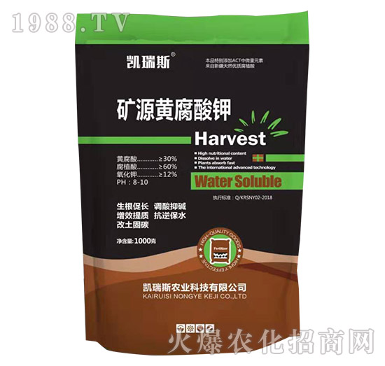 P˹rI(y)ôP˹rI(y)aƷЩ