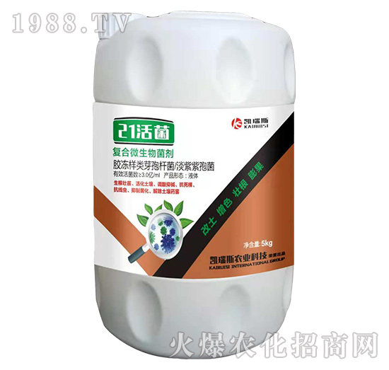 P˹rI(y)ôP˹rI(y)aƷЩ