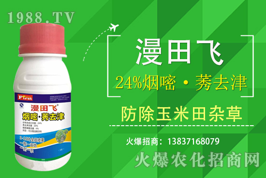 24%סݬȥЧÆ24%סݬȥʲôc