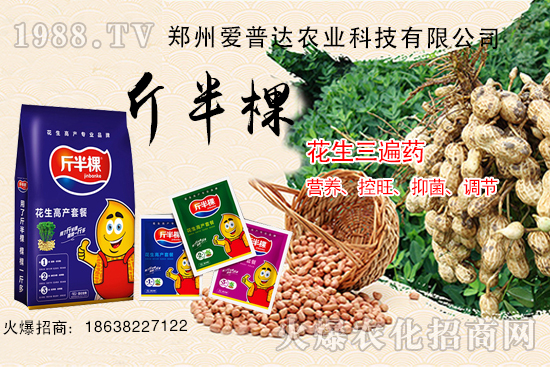 ˎʲôrʹˎЩ