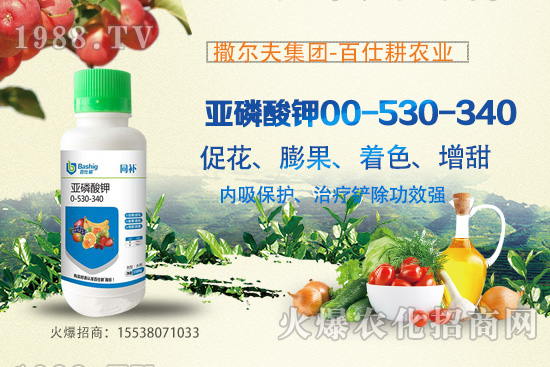 IB(yng)A(y)@ôţԭ