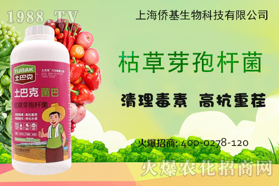 ϺSͿˡ-עغޏ(f)15