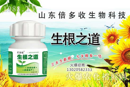 ϵa(chn)֮¸a(chn)o(w)n