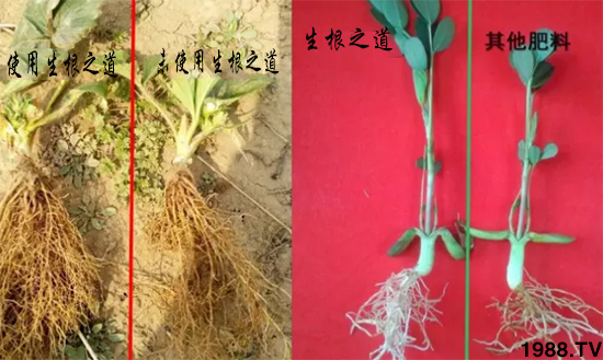 ϵa(chn)֮¸a(chn)o(w)n