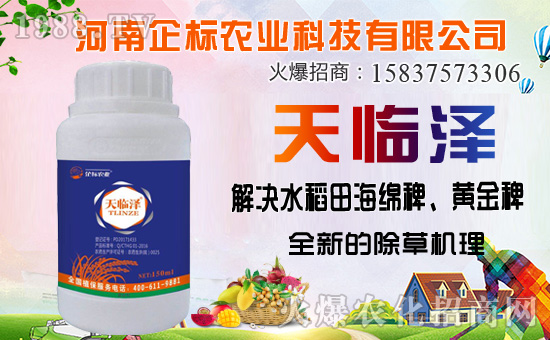 丁草胺除草機(jī)理,丁草胺能防除哪些草?使用注意事項有哪些?