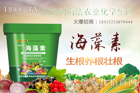 r(nng)I(y)ɶ@ôţr(nng)I(y)a(chn)ɫʲôЩa(chn)Ʒ