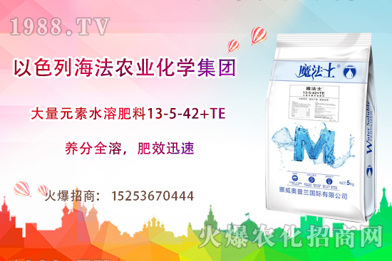 r(nng)I(y)ɶ@ôţr(nng)I(y)a(chn)ɫʲôЩa(chn)Ʒ