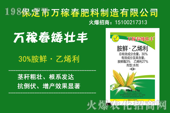 玉米倒伏產(chǎn)量低,玉米縮節(jié)、抗倒增產(chǎn)產(chǎn)品有哪些?