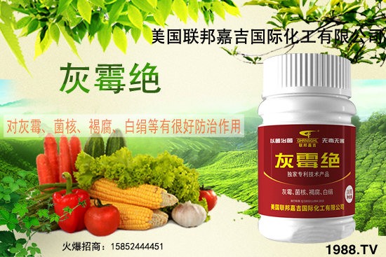 μôμЩɫ˾NaƷЩ