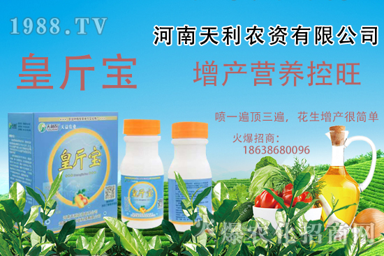  ʩʳҊ}ЩҎ(gu)ɼʩʷv