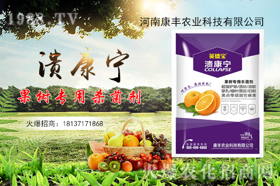柑橘潰瘍病又到高發(fā)期,康豐農(nóng)業(yè)“潰康寧”防治效果怎么樣?