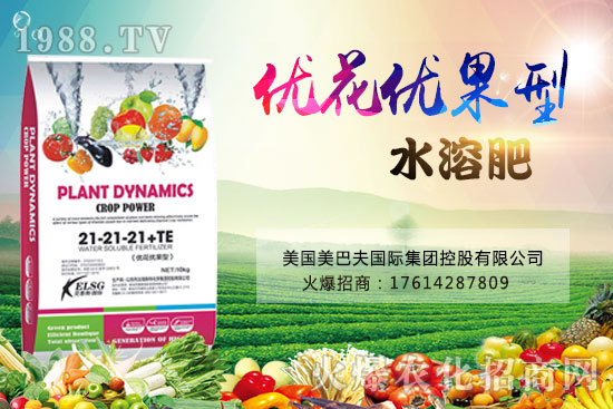 果實(shí)果小、不膨果?不妨試試“優(yōu)花優(yōu)果型水溶肥”,著色美果又增甜!