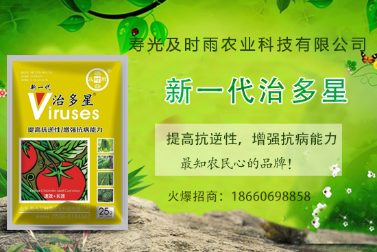 Ѳ֪׷NӺηѲ((ni)η) 