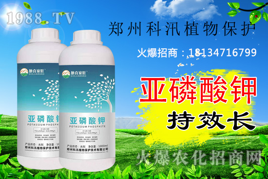 亞磷酸鉀功效及殺菌機(jī)理有哪些,亞磷酸鉀你用的合理嗎?