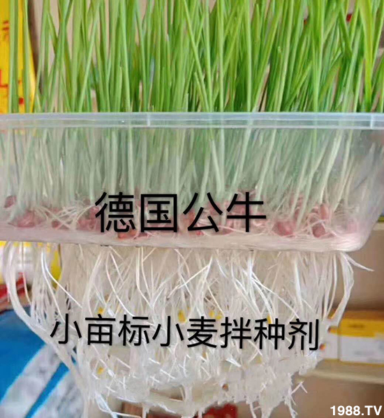 СNa(chn)СNxСNƷx