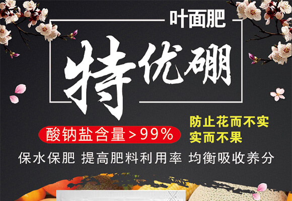 ؃(yu)-ѿM(mn)-(i)r(nng)˹_(d)_01