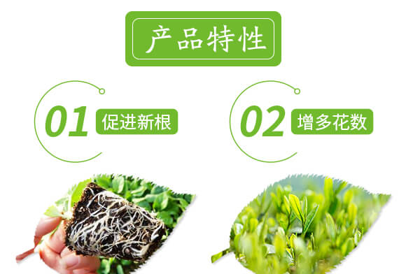 ؃(yu)-ѿM(mn)-(i)r(nng)˹_(d)_04