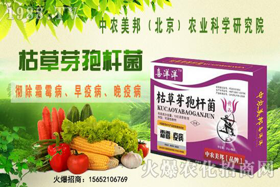 枯草芽孢桿菌治根腐病嗎,防治哪些土傳病害?防治對(duì)象有哪些?