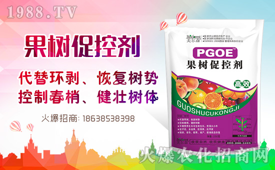 öЧЧ]}Чcʹ÷